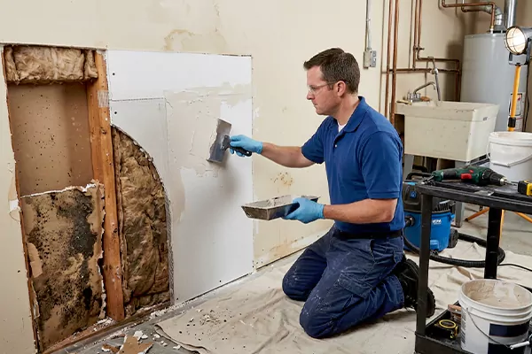 Mold and Drywall Repair Pearland