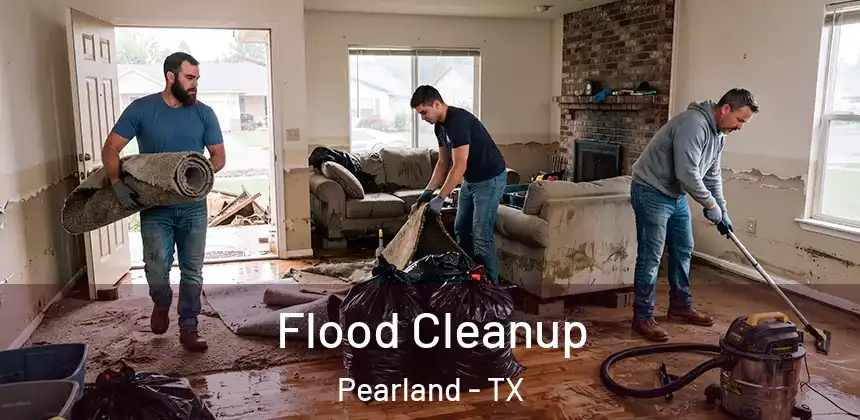 Flood Cleanup Pearland - TX