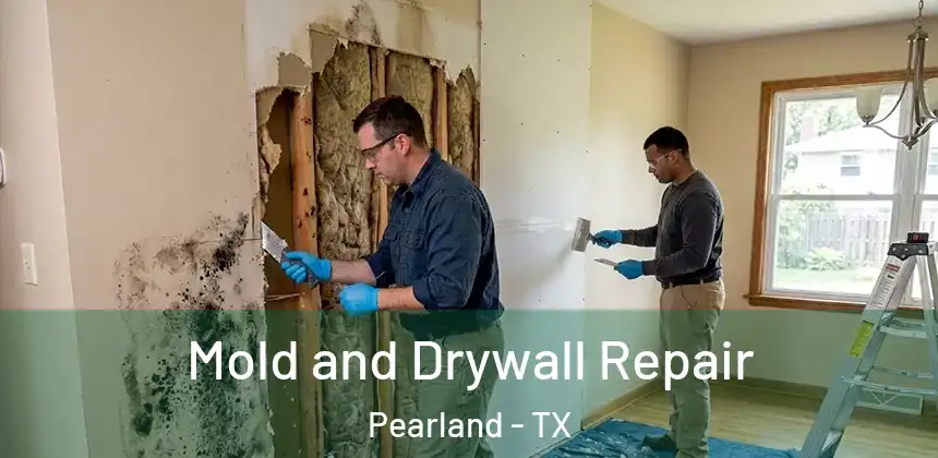  Mold and Drywall Repair Pearland - TX