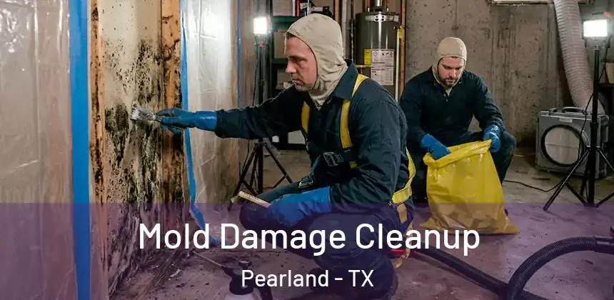 Mold Damage Cleanup Pearland - TX