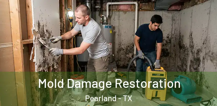 Mold Damage Restoration Pearland - TX
