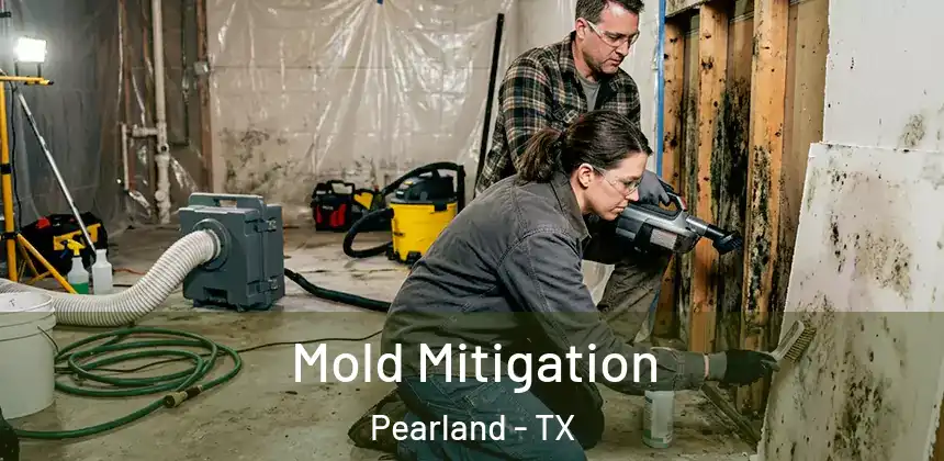 Mold Mitigation Pearland - TX