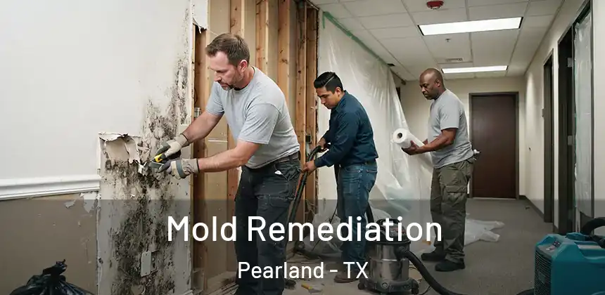 Mold Remediation Pearland - TX