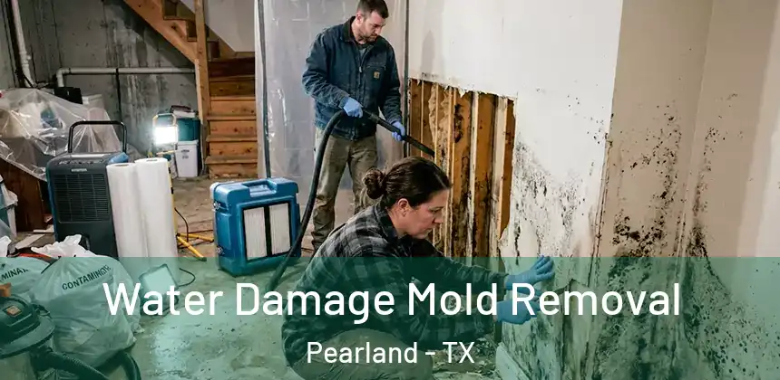 Water Damage Mold Removal Pearland - TX