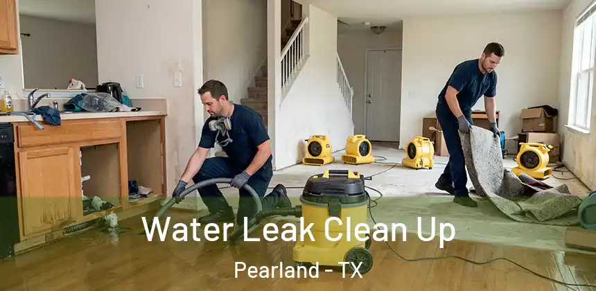  Water Leak Clean Up Pearland - TX